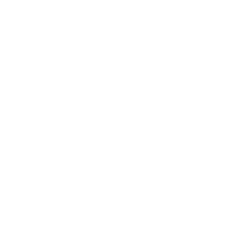 EXUS 1 1