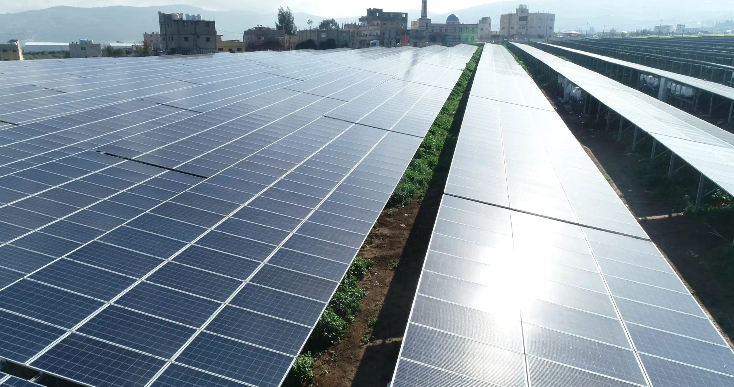 Close rows of Philadelphia Solar PV modules at the Clemenceau Abdali solar project